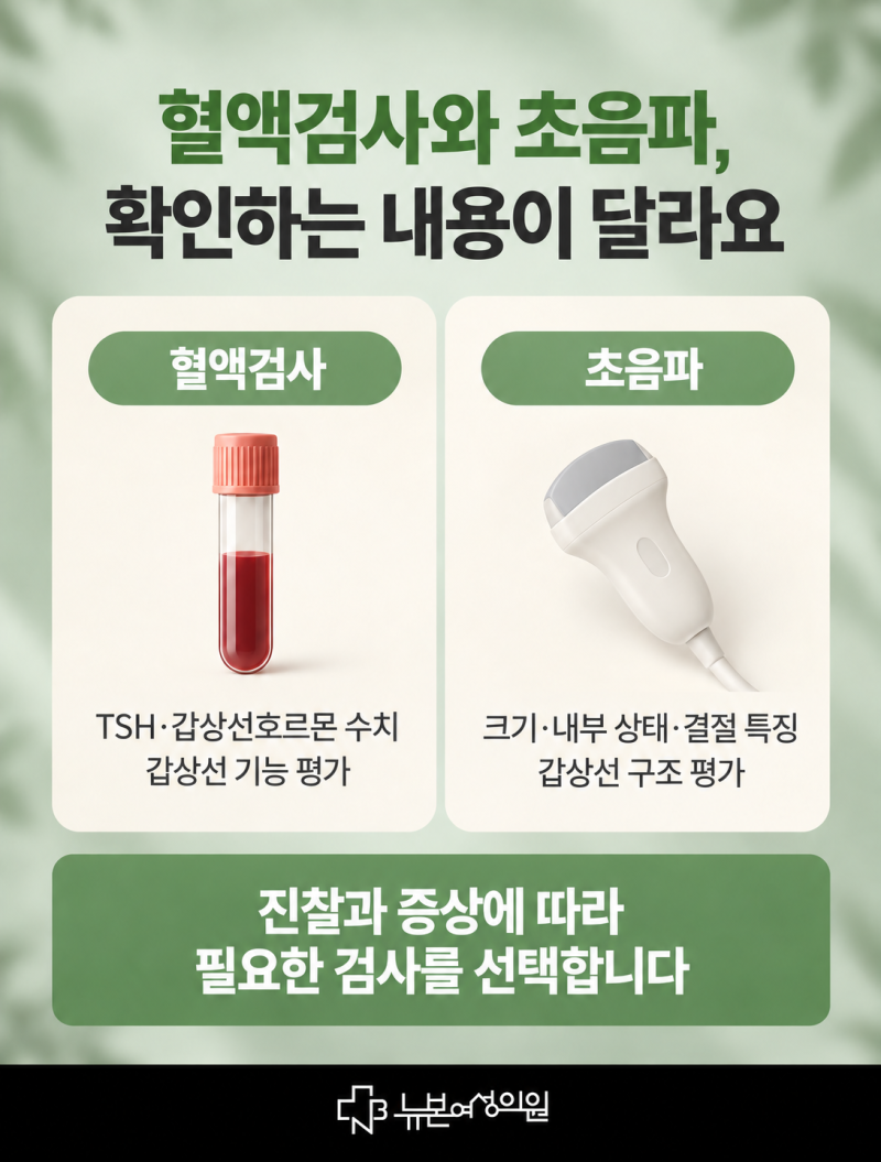 사하구갑상선검사,갑상선이 부었는데 검사 받으러 가야할까요? 사진 5