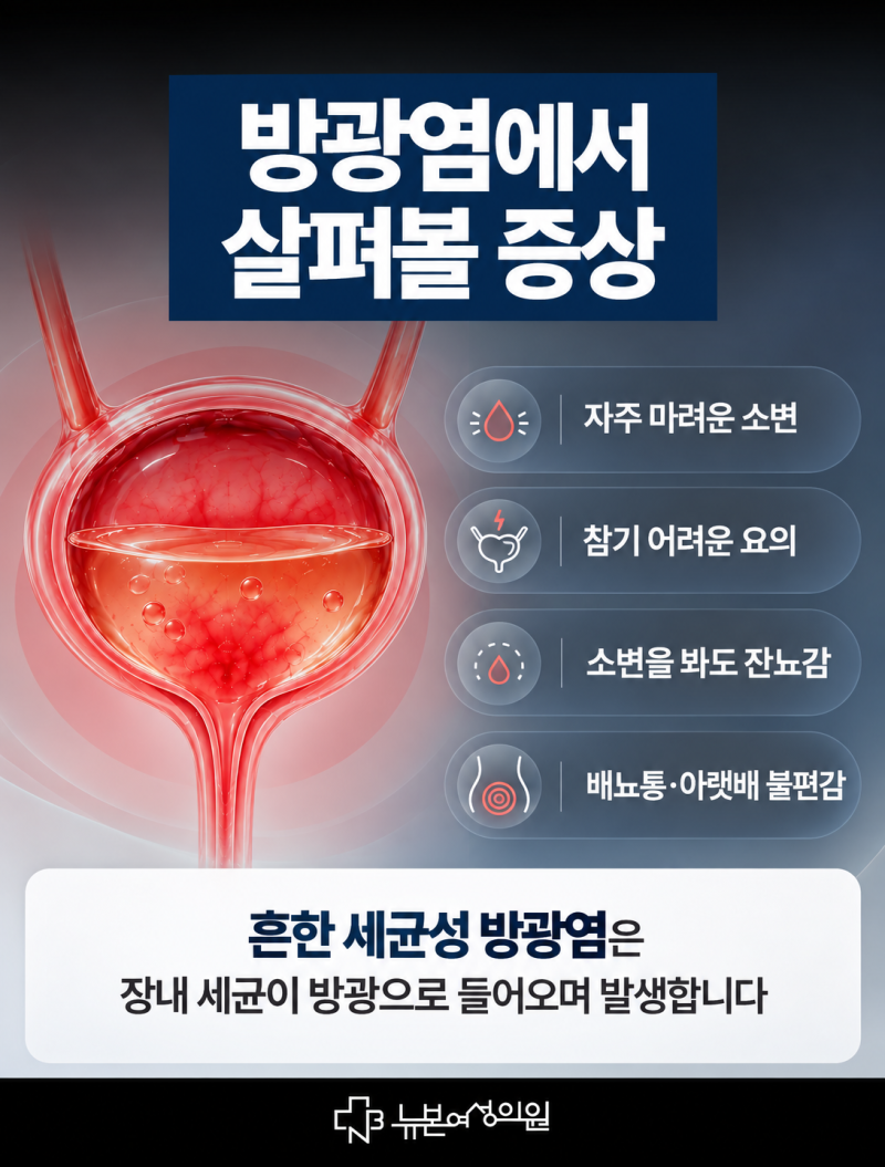 하단방광염,요도염과 어떻게 다를까요? 사진 3