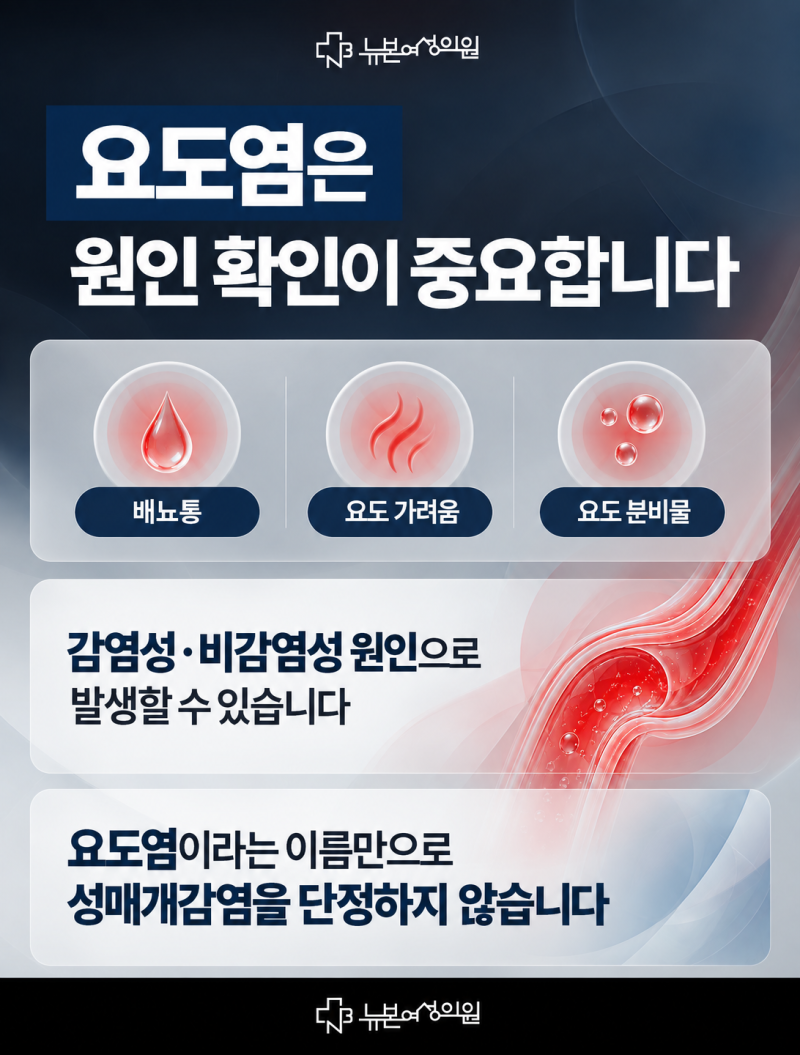 하단방광염,요도염과 어떻게 다를까요? 사진 4