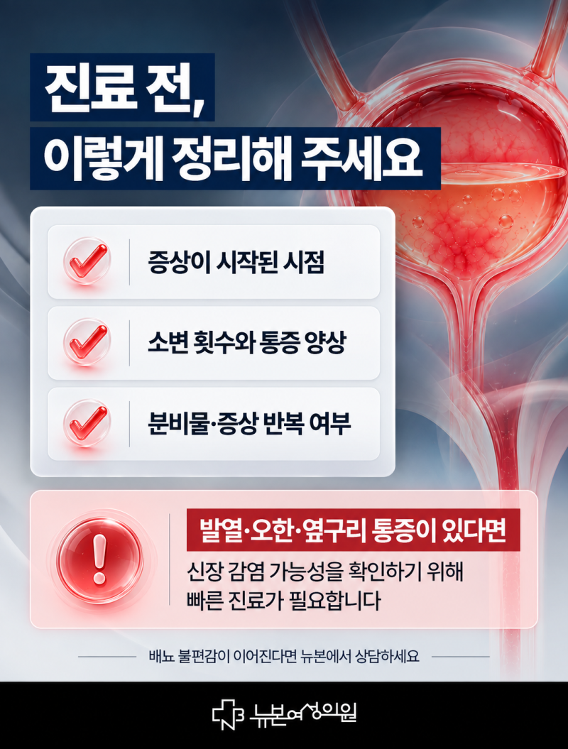하단방광염,요도염과 어떻게 다를까요? 사진 6